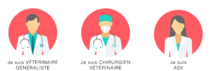 imoove vet vétérinaire généraliste chirurgien vétérinaire asv